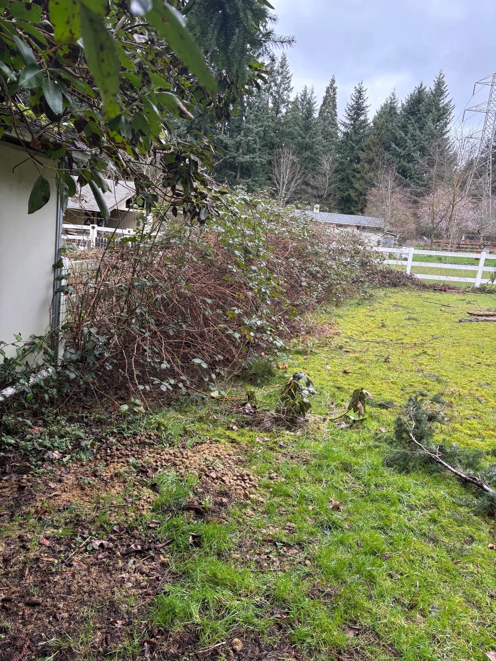 RME Landscaping recent work — gallery 09