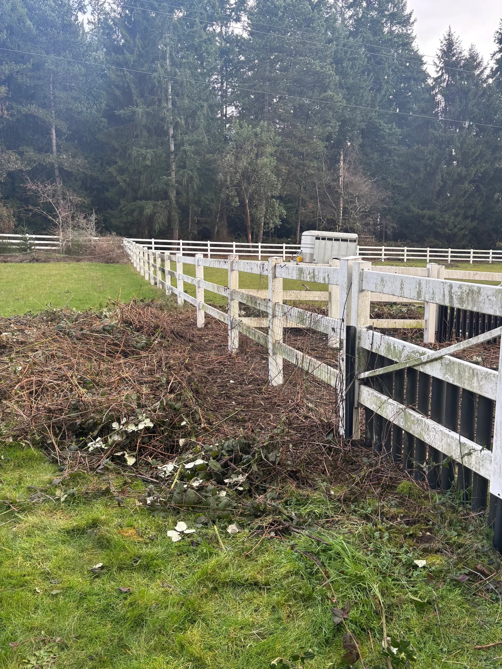 RME Landscaping recent work — gallery 11