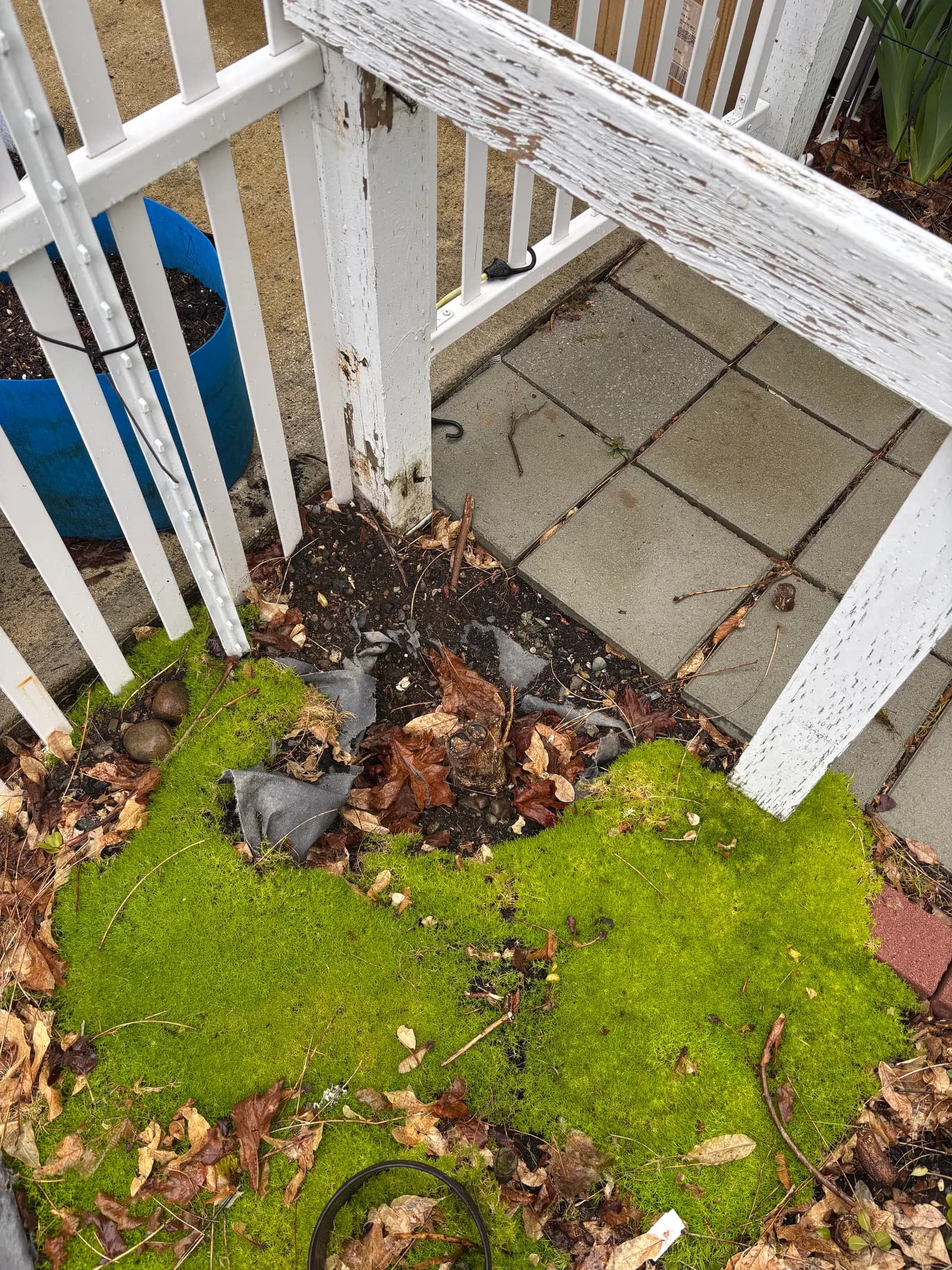 RME Landscaping recent work — gallery 24